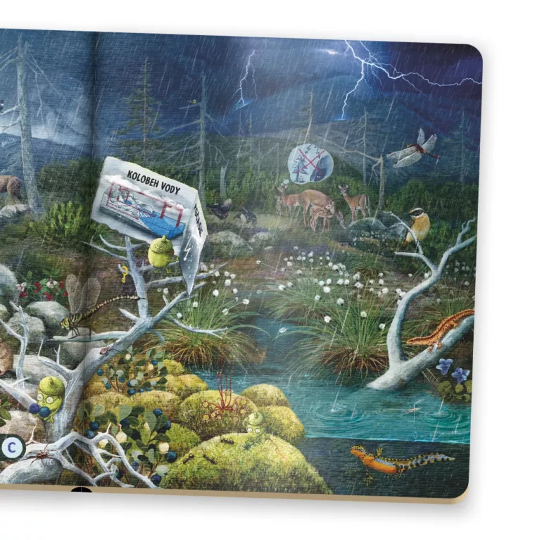 Kniha Hravá prírodoveda SK