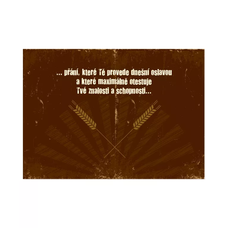 Narozeninové přání - Pivní hra