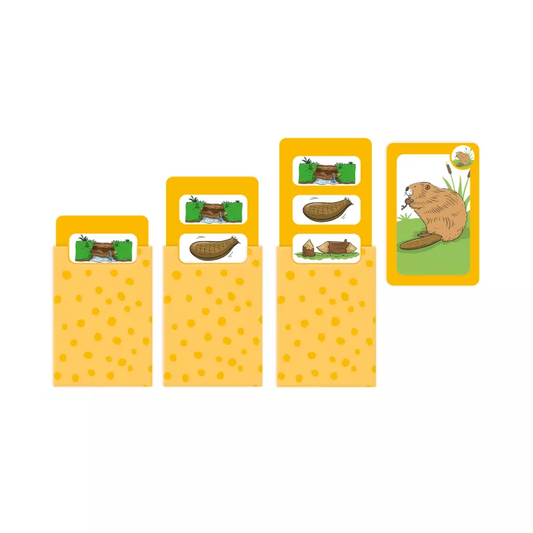 Obrázkové kvízy: Zvířata - Kvído