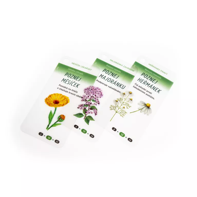 Krabička pravého dobrodruha - Na túru