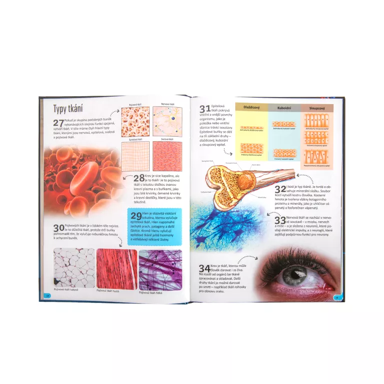 500 fantastických faktů - Člověk