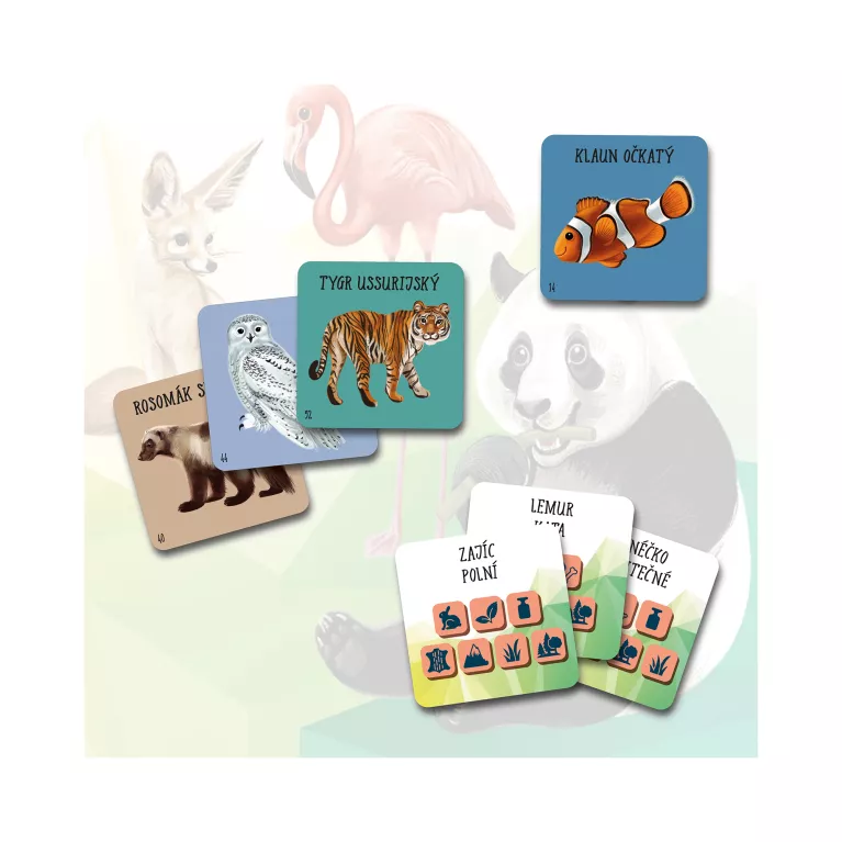 Chytré kostky - Zvířata
