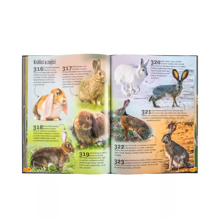 500 fantastických faktů - Zvířata