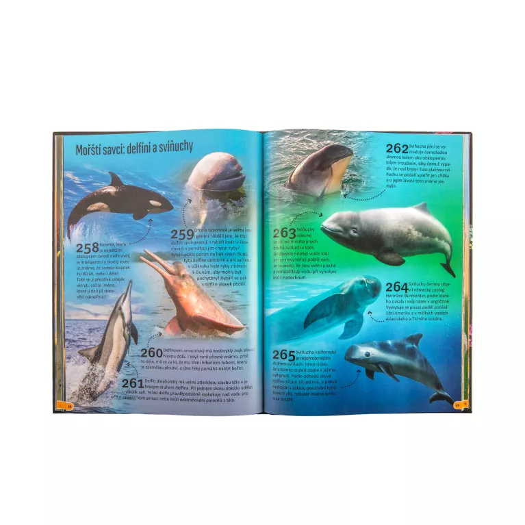 500 fantastických faktů - Zvířata