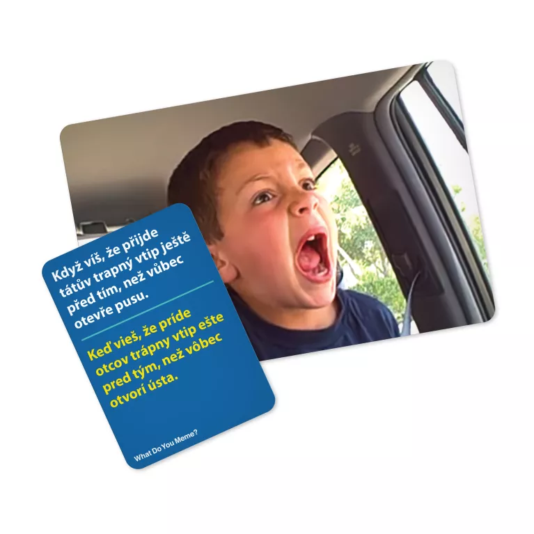 What Do You Meme - Rodinná edice