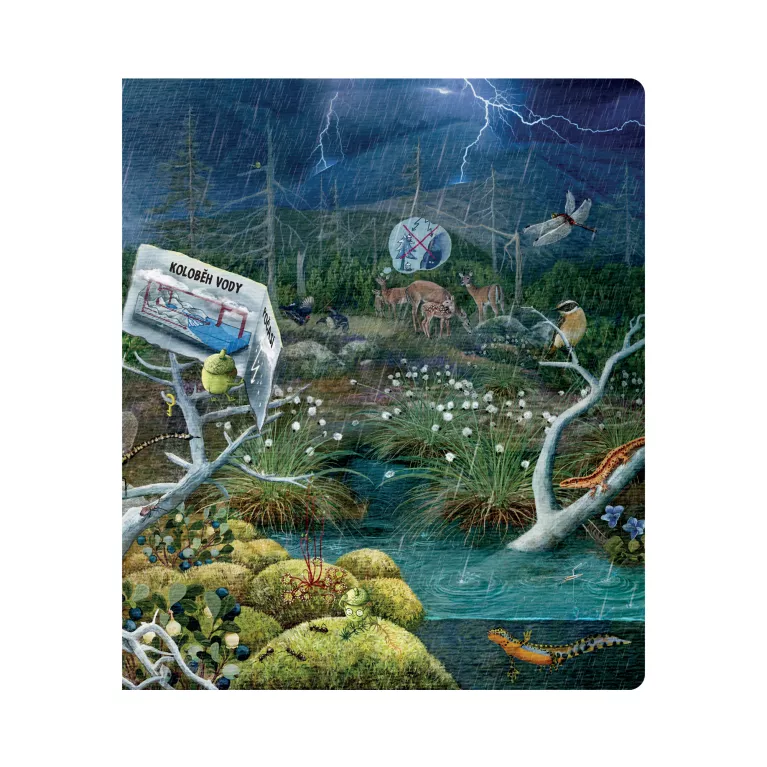 Kniha Hravá přírodověda