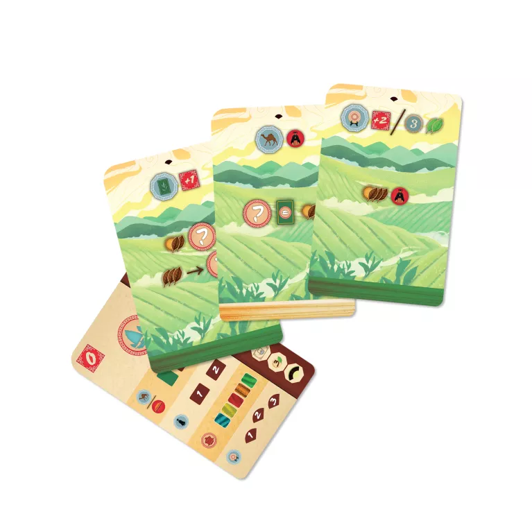 Čajová zahrada: Puerh