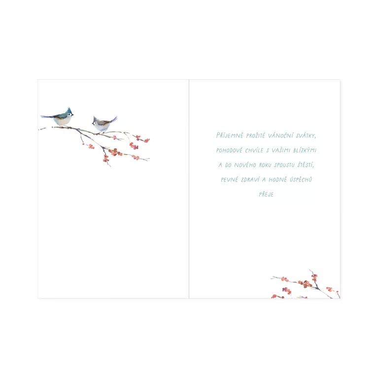 Vánoční přání - Dvě sýkorky
