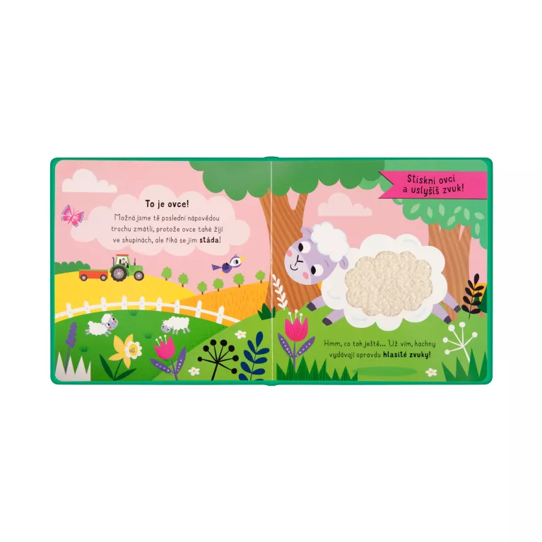 Vidíš někde kachnu? - Zvuková hmatová kniha