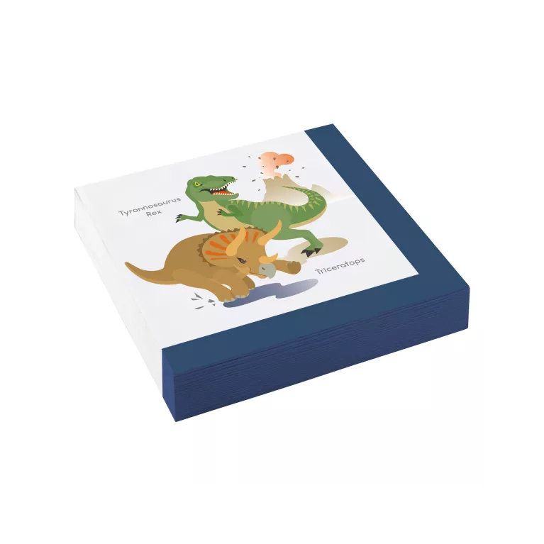 Párty Set Dinosauři 61 ks