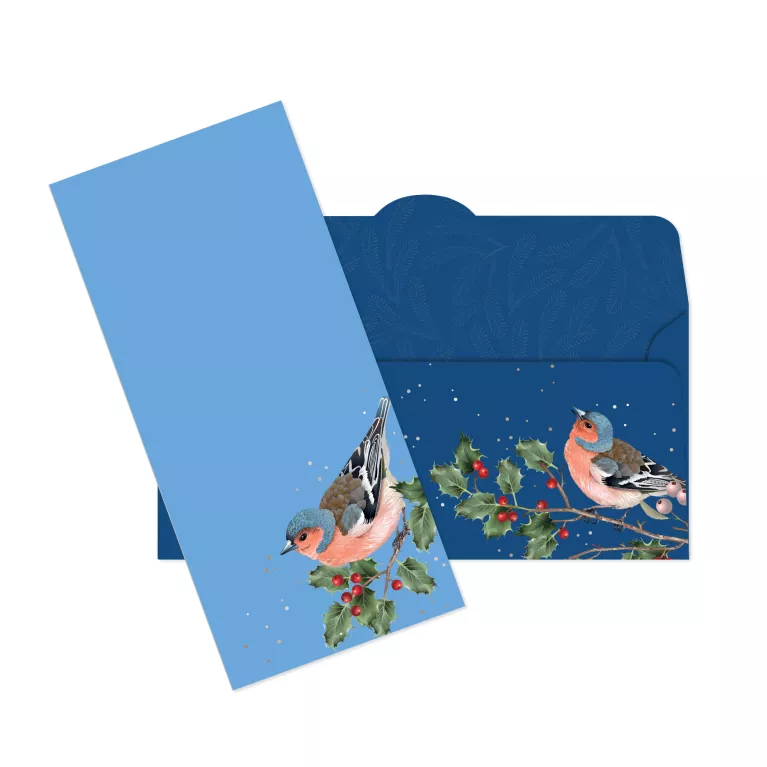 Vánoční kapsa na peníze - Ptáčci