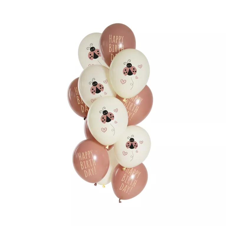 Balónky latexové Narozeniny Beruška 12 ks