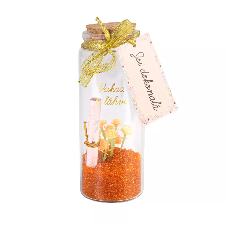 Vzkaz v láhvi - Jsi dokonalá