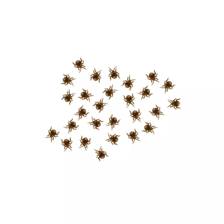 Falešné štěnice 24 ks