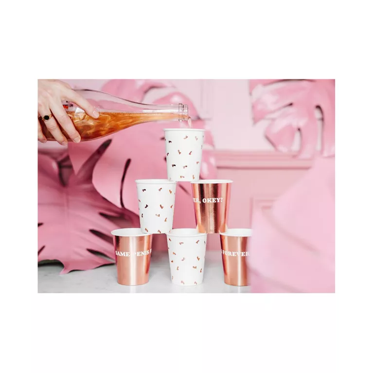 Kelímky rozlučka Penis 6 ks