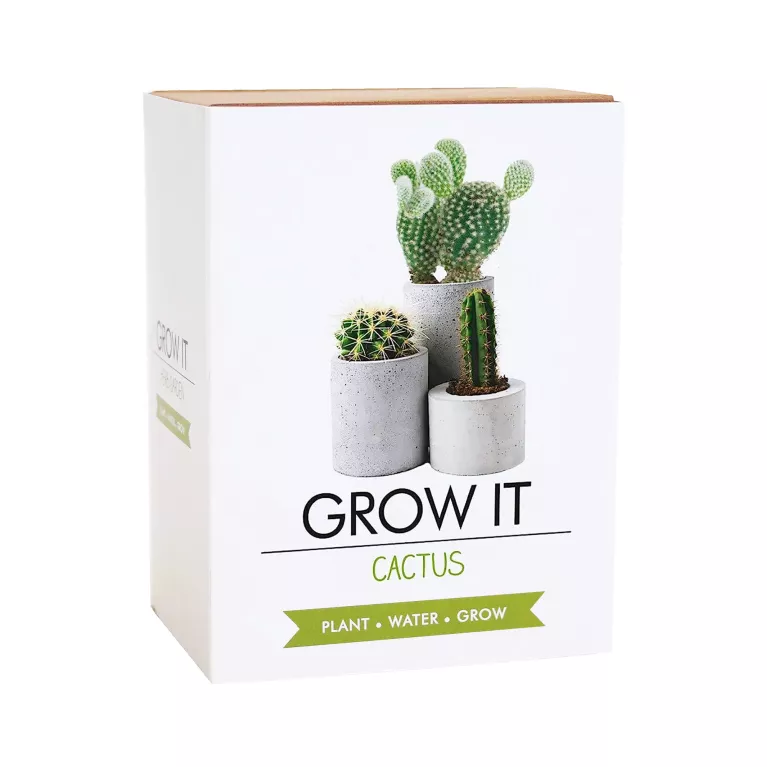 Grow it - Kaktus