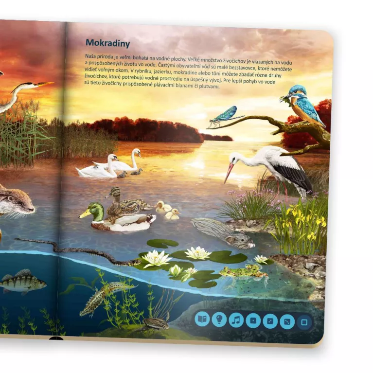 Svet zvierat s elektronickou ceruzkou Albi SK