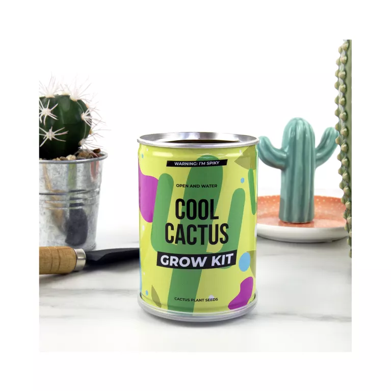 Grow tin - Cool kaktus