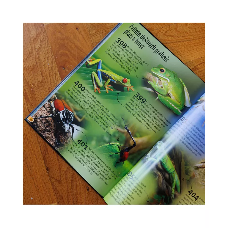 500 fantastických faktů - Dinosauři