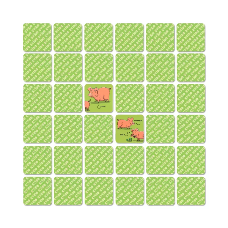 Chytré pexeso - Zvířecí rodina 2. vydání
