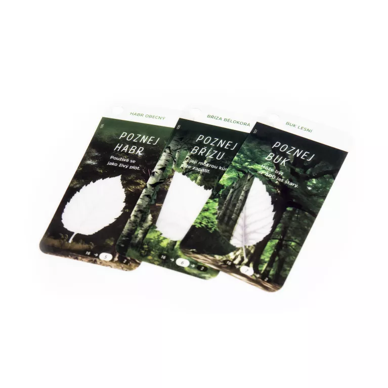 Krabička pravého dobrodruha - Přežití v přírodě