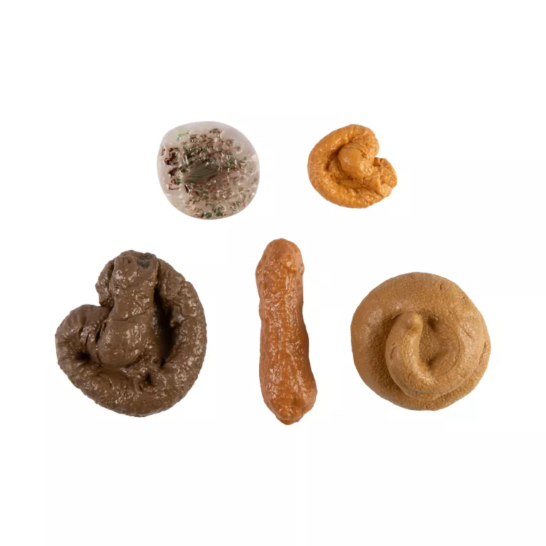 Set 14 vtipů s hovínky + destová hra