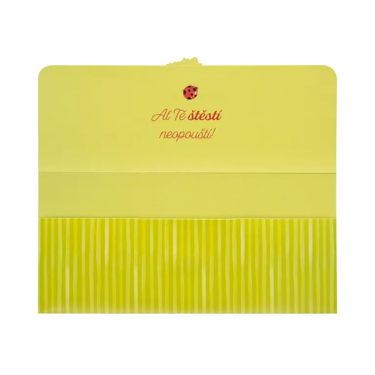 Magnetická kapsa na peníze - Čtyřlístky