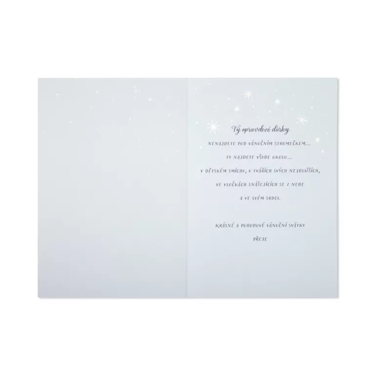 3D vánoční přání - Zasněžená vesnička