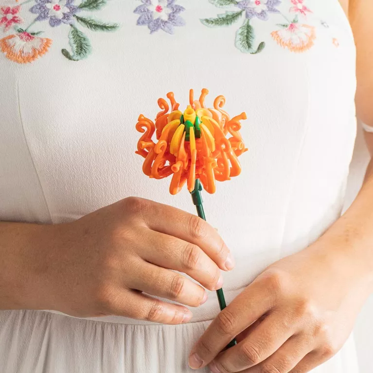 Květinová stavebnice - Kiku