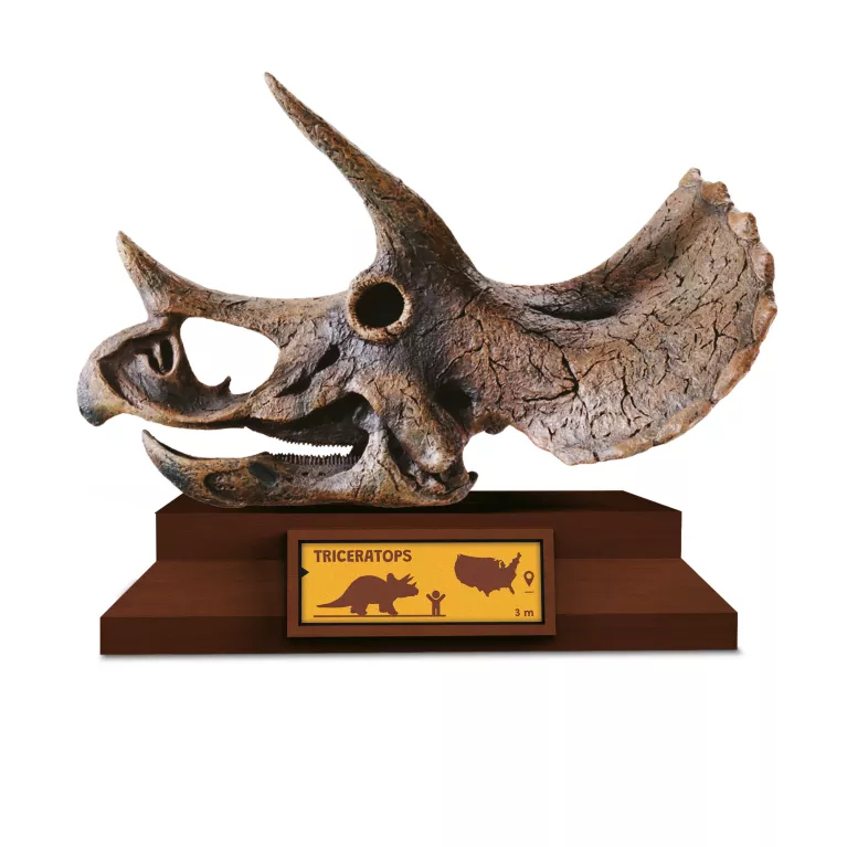 Lovci lebek - Triceratops