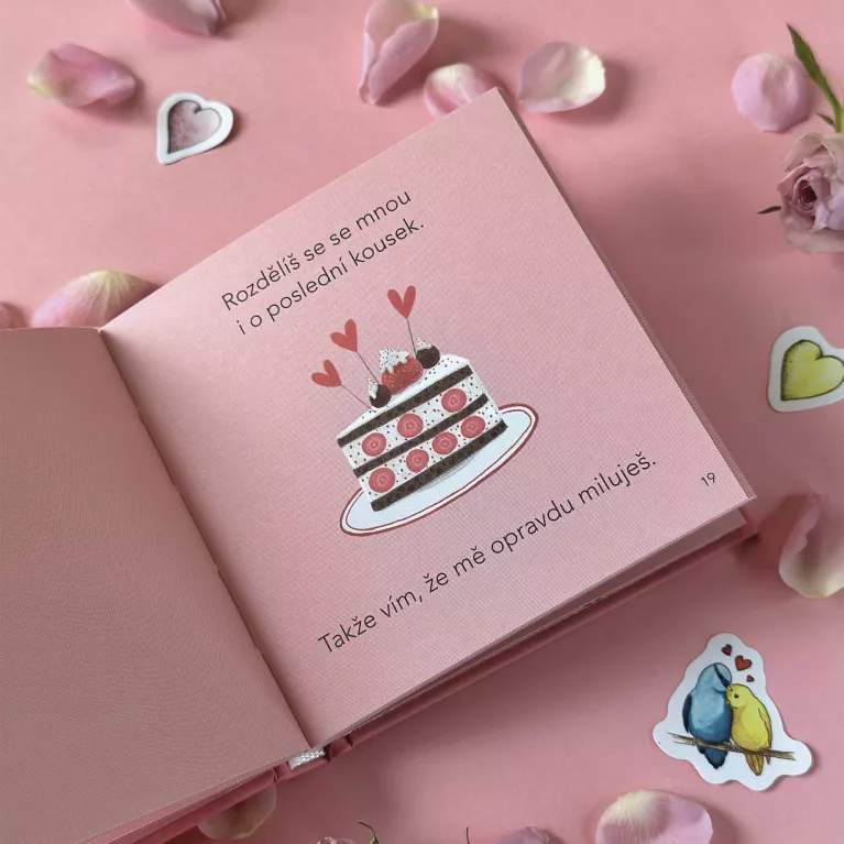 Minikniha - Důvody, proč Tě miluji