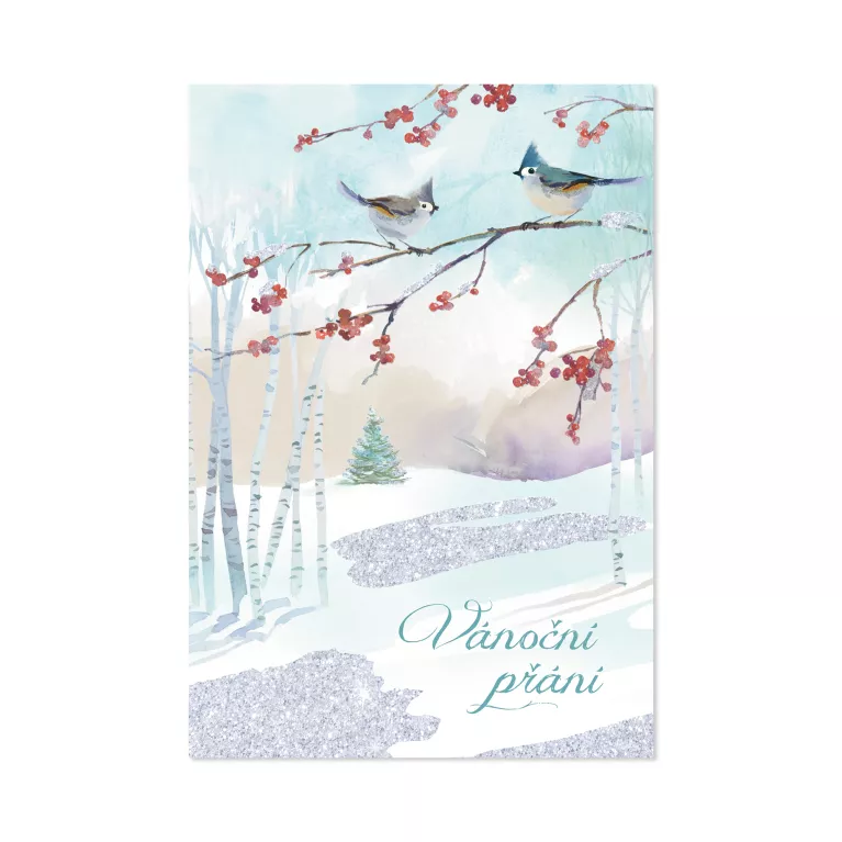 Vánoční přání - Dvě sýkorky