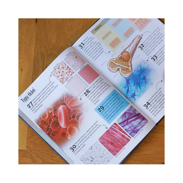 500 fantastických faktů - Člověk