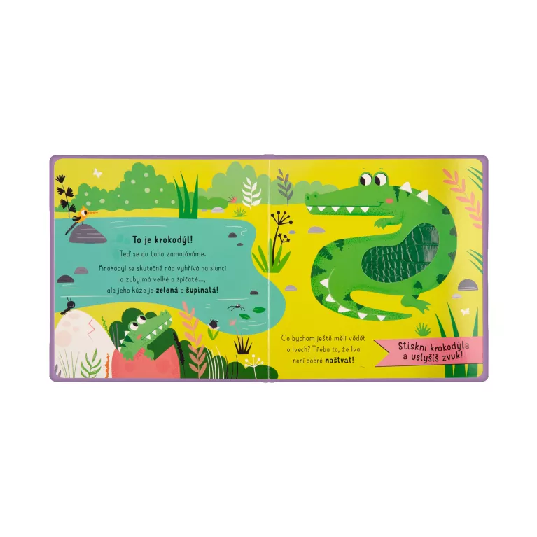 Vidíš někde lva? - Zvuková hmatová kniha