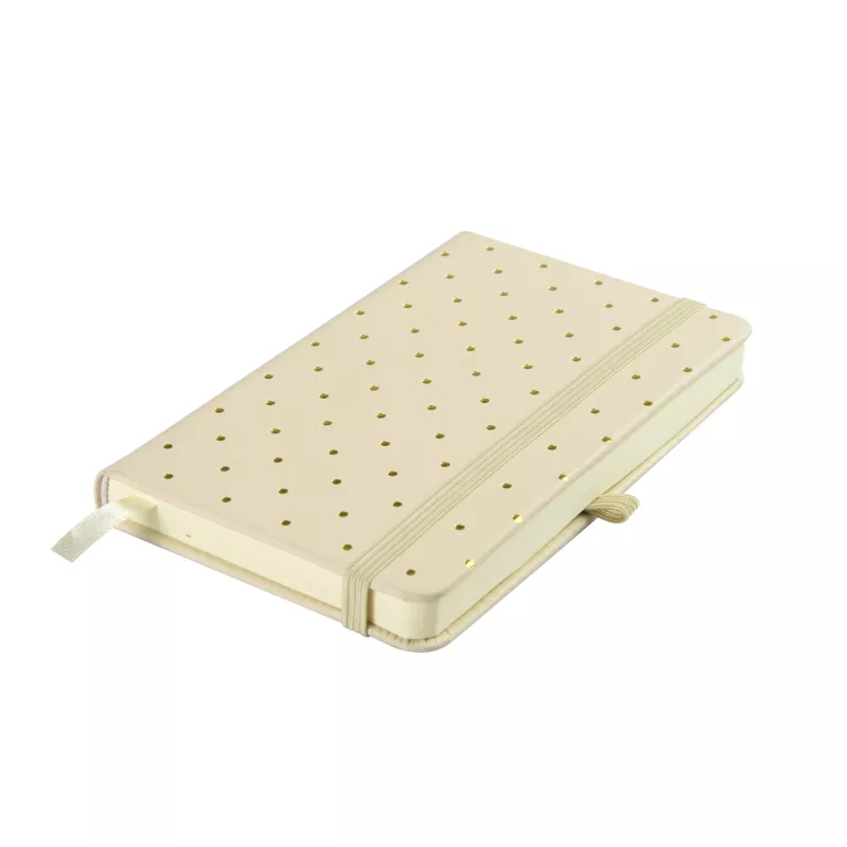 Studentský diář - Puntíky