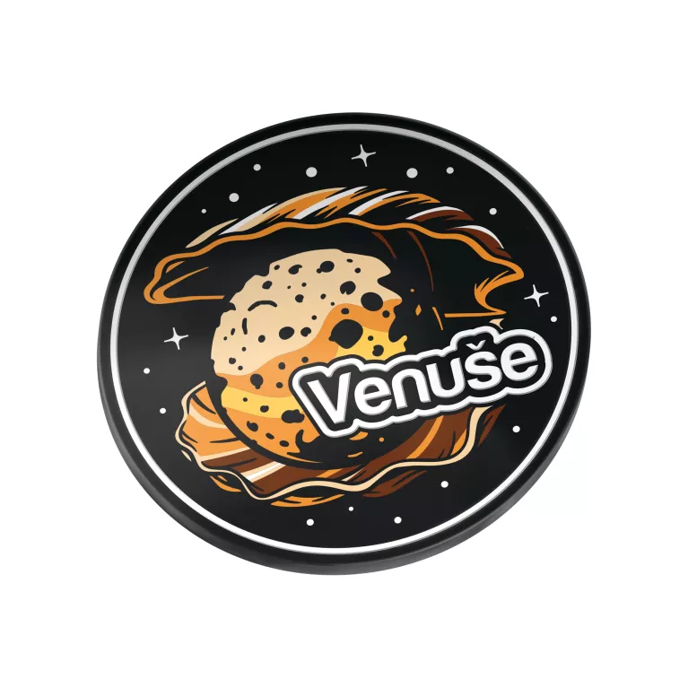 Meziplanetární průzkumník - Venuše