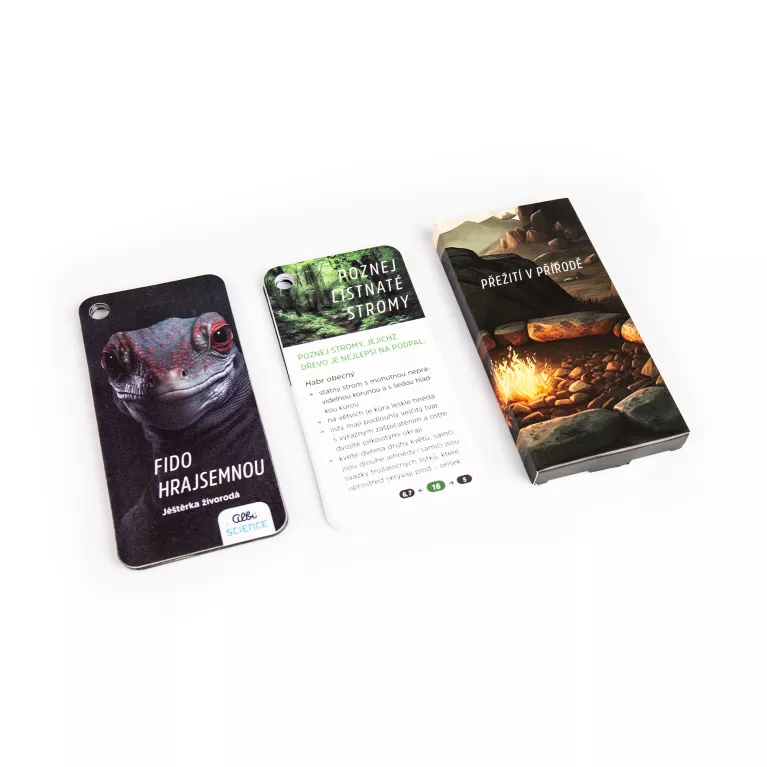 Krabička pravého dobrodruha - Přežití v přírodě