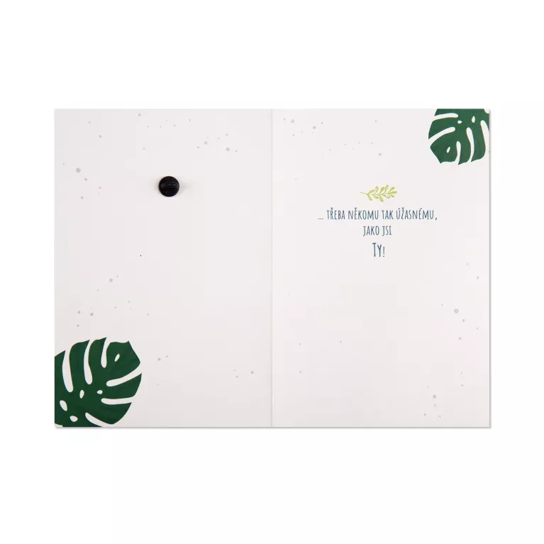 Přání s broží - List