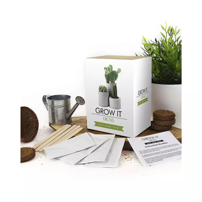 Grow it - Kaktus