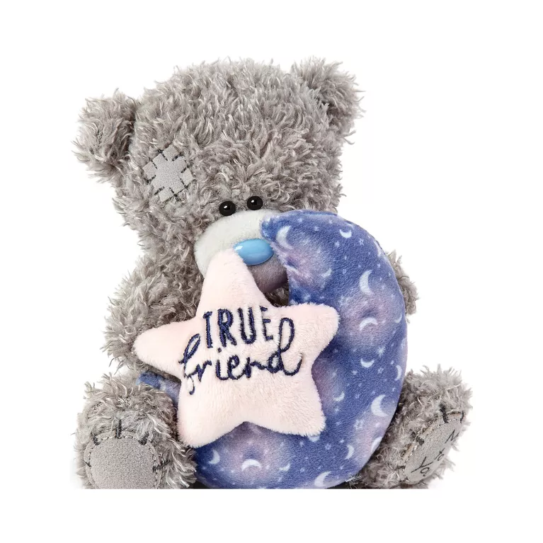 Medvídek Me to You - True Friend