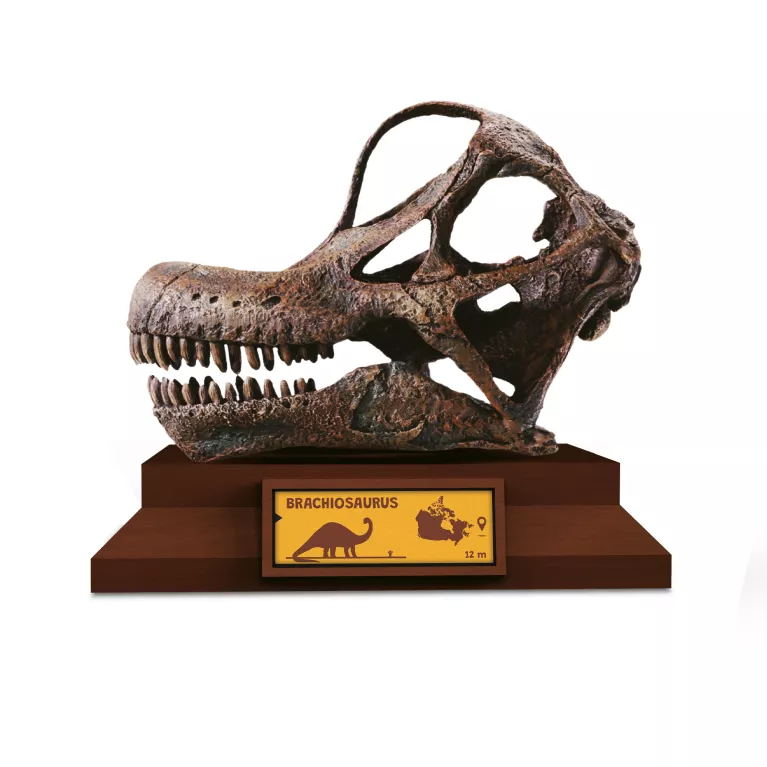 Lovci lebek - Brachiosaurus