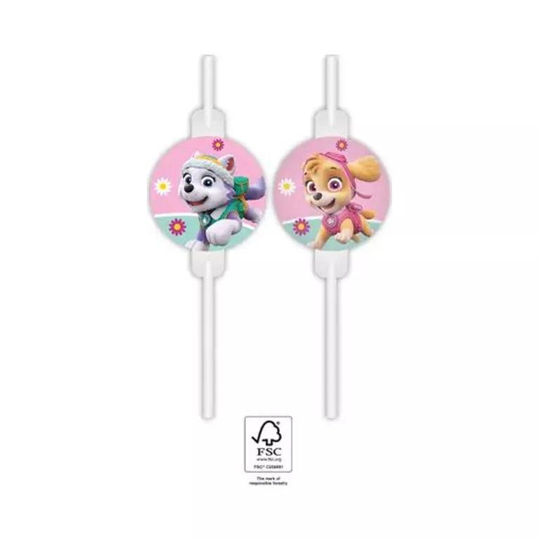 Brčka Tlapková patrola Skye 4 ks