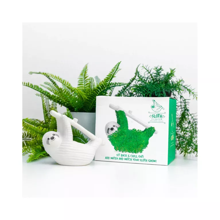 Květináč - Lenochod