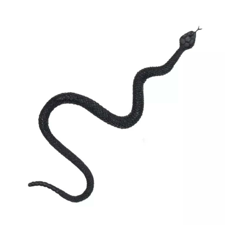 Set Děsivý hmyz 6 ks