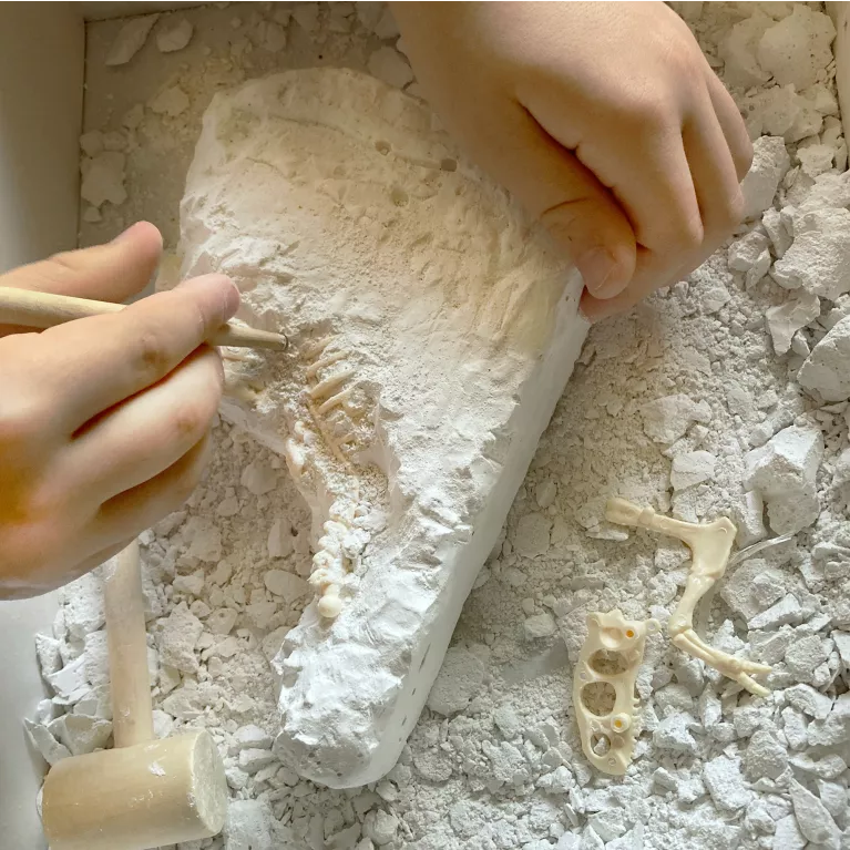 Posviť si na dinosaury: T-Rex