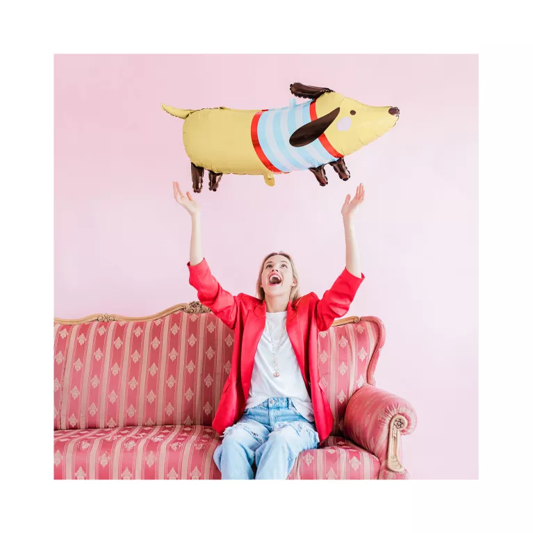 Balónek fóliový Jezevčík