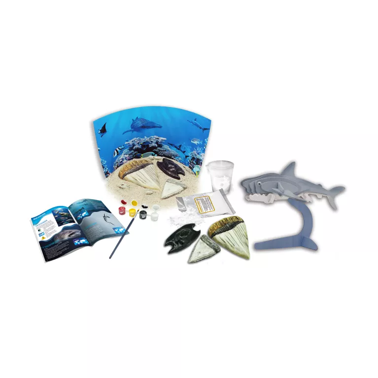 Exkurze do divočiny - Velcí žraloci a další paryby