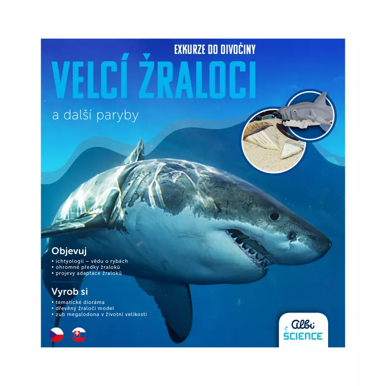 Exkurze do divočiny - Velcí žraloci a další paryby