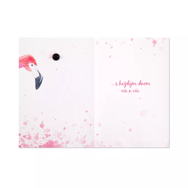 Přání s broží - Plameňák