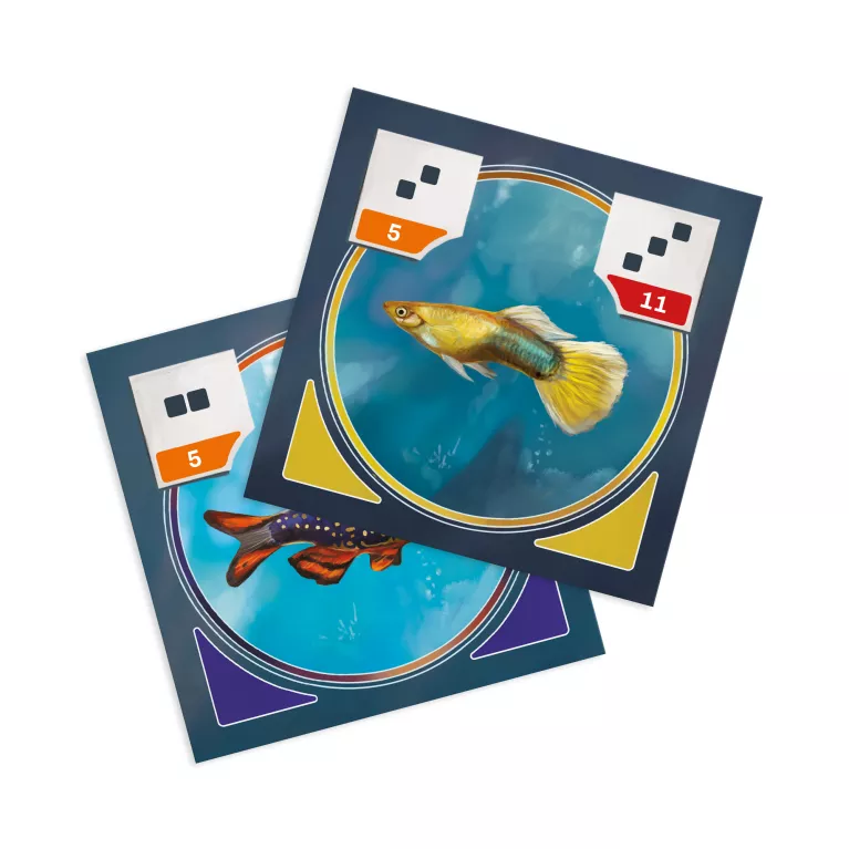 Výhodné balení - Akvárko + Terárko